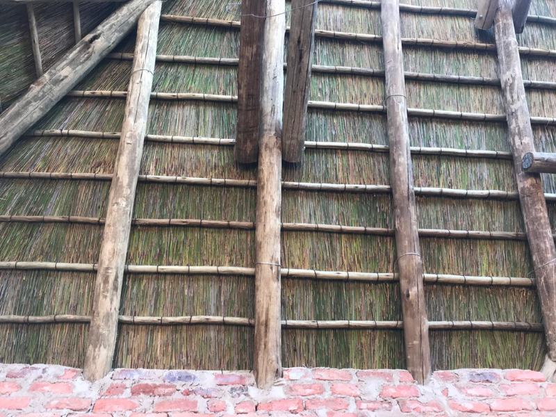 Roof Thatching Poles